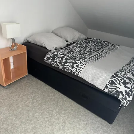 1zi Wo Fuer 1bis 2 Pers In Zentrum Appartement Ludwigshafen